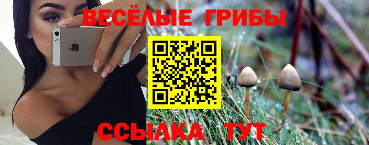 Галлюциногенные грибы Magic Shrooms Печора