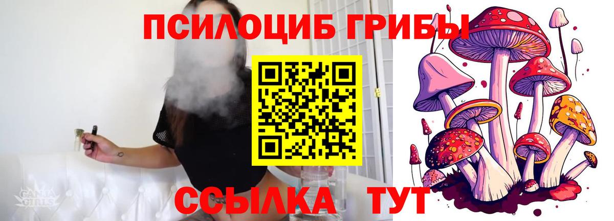 Галлюциногенные грибы мицелий  Вход с VPN  наркошоп  Галлюциногенные грибы Psilocybe  Печора 