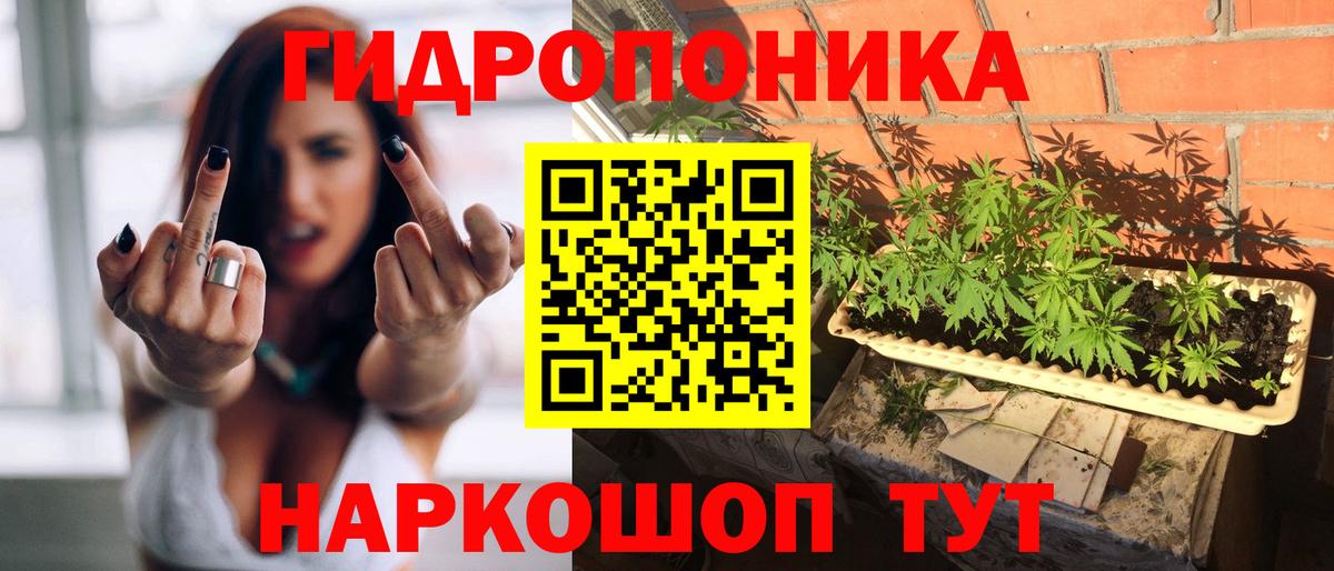 Бошки Шишки Amnesia  Вход с VPN  Конопля марихуана  Марихуана MAZAR  Печора 